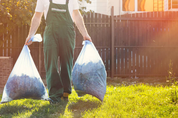 Yard Cleanup Services in Casa Loma, CA